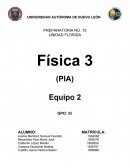 Pia fisica