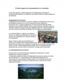 El efecto negativo de la sobrepoblación en lo ambiental