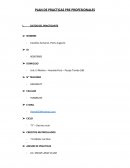 PLAN DE PRACTICAS PRE PROFESIONALES empresa Q&E GRUPO INFORMATICO DEL PERU