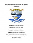 Terminos de seguridad informatica