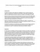 Análisis de riesgos del sector turístico del estado de Yucatán