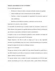Seguridad Informatica. SEGURIDAD ACTIVA EN REDES. Página 1