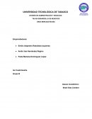 TSU EN DESARROLLO DE NEGOCIOS ÁREA MERCADOTECNIA