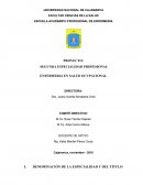 Proyecto Salud Ocupacional