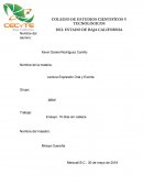 Lectura Expresión Oral y Escrita