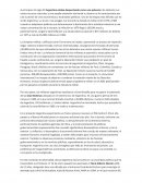 A principios del siglo XX Argentina estaba despuntando como una potencia