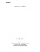 Administración y productividad Grand Motors