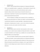 Bases Biologicas de la Conducta