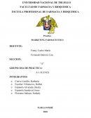 LA FIJACION DE PRECIOS PARA LOS PRODUCTOS FARMACEUTICOS: ALGO MÁS QUE VENTAS Y BENEFICIOS