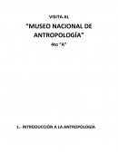 “MUSEO NACIONAL DE ANTROPOLOGÍA”