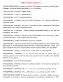 Peru tiene talento guión