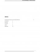 FUNDACIÓN PARA EL APOYO A LA MICROEMPRESA MI SOCIO