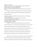 Enfoques de la organizacion Sociologia