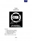 Contabilidad de costos, Element ESK