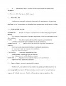 Proyecto Honduras C.A.