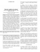 Marcha Analítica de cationes