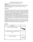 DESCRIPCION E IDENTIFICACION DE SUELOS