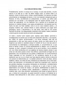 Ensayo "Cultura de Envoltura"