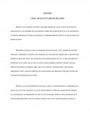 SINTESIS LEER: ¿DE QUE ESTAMOS HABLANDO?