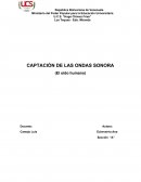 Captacion de ondas sonoras