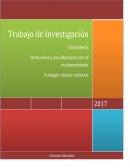 Fotosintesis. Requerimientos de la fotosíntesis