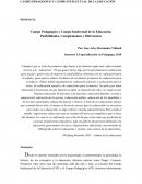 Campo Pedagógico y Campo Intelectual de la Educación. Posibilidades, Complementos y Diferencias