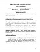 PLANEACION POR TRIMESTRE HISTORIA EJEMPLO