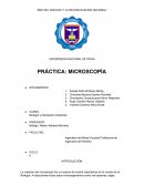 Practica Biología y Educación Ambiental