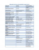 Músculos de las extremidades superiores