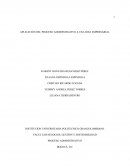 APLICACIÓN DEL PROCESO ADMINISTRATIVO A UNA IDEA EMPRESARIAL