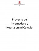 Proyecto de Invernadero y Huerta en mi Colegio