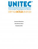 Ecommerce. Negocio Electrónico