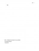 MARKETING B2B en Amazon