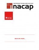 Caso Mieles del maipo