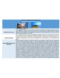 INSTITUTO TECNOLOGICO DE CAMPECHE FUNDAMENTOS TEPRICOS DEL DISEÑO II. Página 1