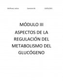 ASPECTOS DE LA REGULACIÓN DEL METABOLISMO DEL GLUCÓGENO