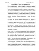 Ejemplo ensayo final, consumismo y finanzas