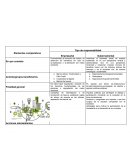 Cuadro comparativo responsabilidad gubernamental y empresarial