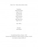 Trabajo_colaborativo_grupo_102028_7 Inducción a la empresa