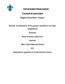 Fundamentos de los grupos operativos con fines terapéuticos