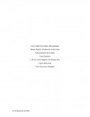 Diseño Digital y Producción Audiovisual Administración del Tiempo Casos Prácticos