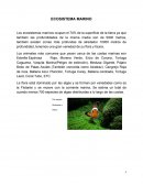 Evidencia Ecosistemas