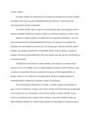 Consecuencias el cambio climático