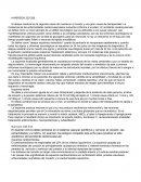 Circulacion cerebral