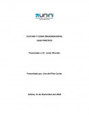 CULTURA Y CLIMA ORGANIZACIONAL CASO PRÁCTICO