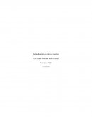 Reclasificación de activos y pasivos. CONTABILIDADES ESPECIALES