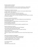 Principales problemas ambientales