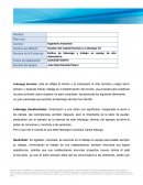 Estilos de liderazgo y trabajo en equipo de alto desempeño