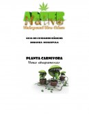 GUIA DE CUIDADOS BÁSICOS DIOANEA MUSCIPULA