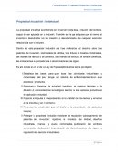 Propiedad industrial e Intelectual